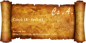 Csulik Antal névjegykártya